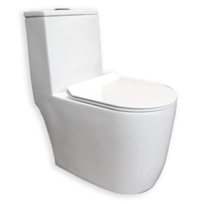 Inodoro de una pieza