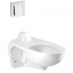 WC Suspendida con Fluxómetro Truflush
