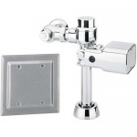 Fluxómetro Automático para Inodoro