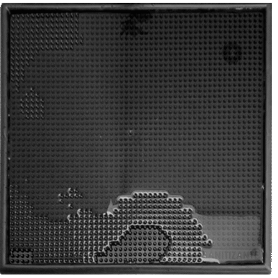 Tapete Sanitizante para Desinfección de Calzado