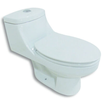 Inodoro de una pieza